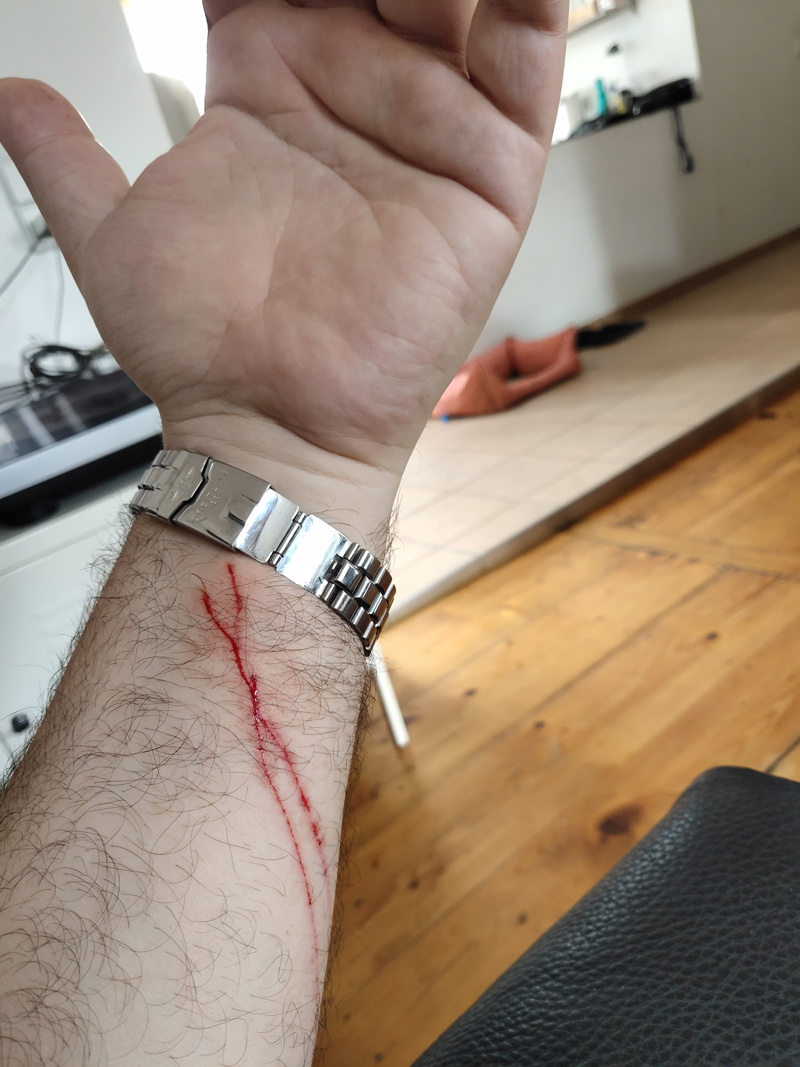 Unsere Katzen zeigen ihre Liebe auf eine ganz eigene Art und Weise.