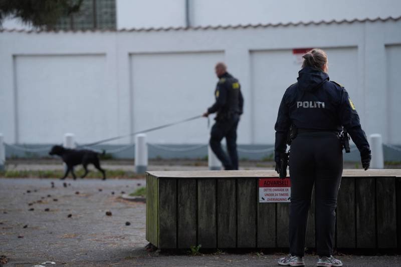 Die Polizei war mit Spürhunden vor Ort.