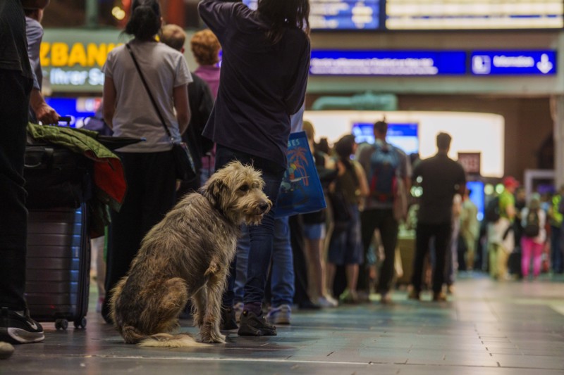 Lange Schlange im Infoschalter der Deutschen Bahn während der Störung