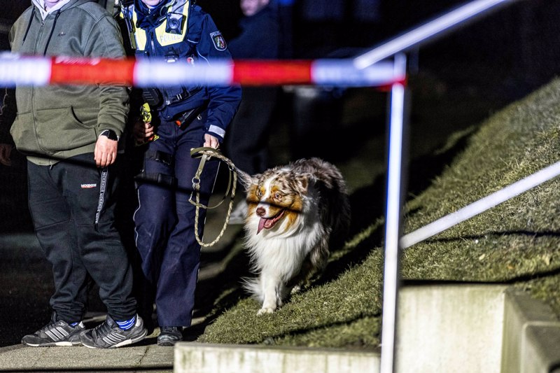 Der Hund des Opfers – mutmaßlich ein Border Collie